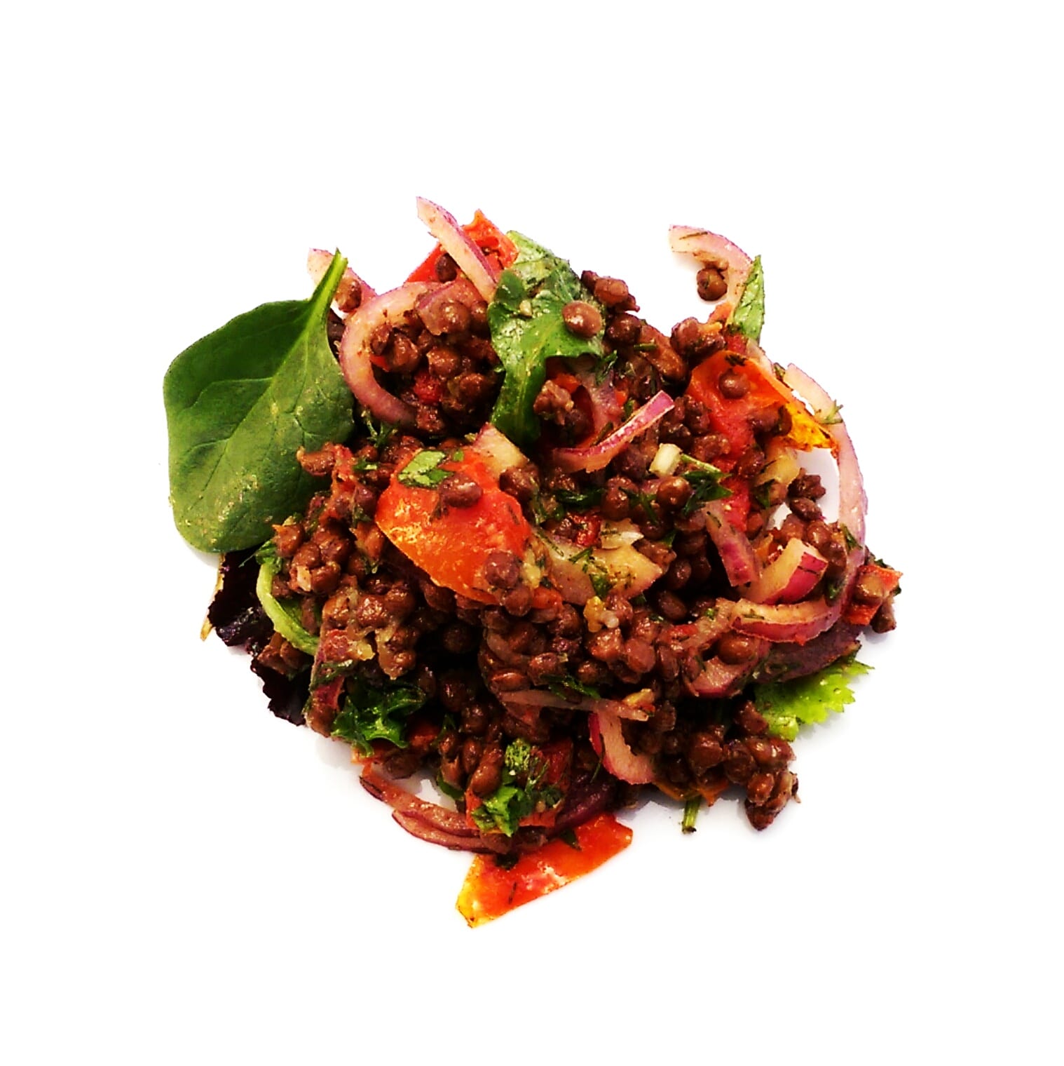 Read more about the article Lush Lentils and Sundried Tomato Salad