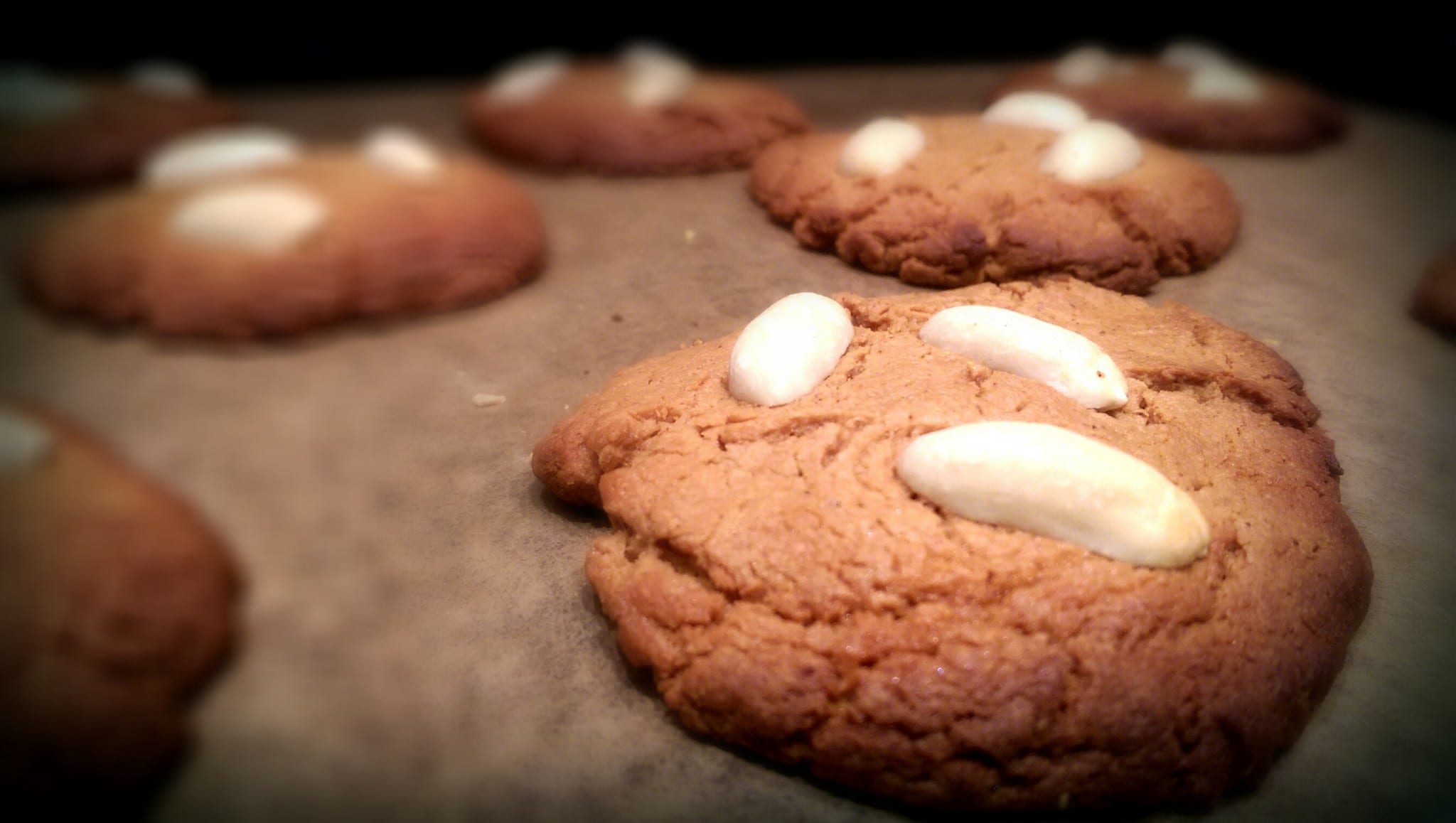 close up of peanut cookies