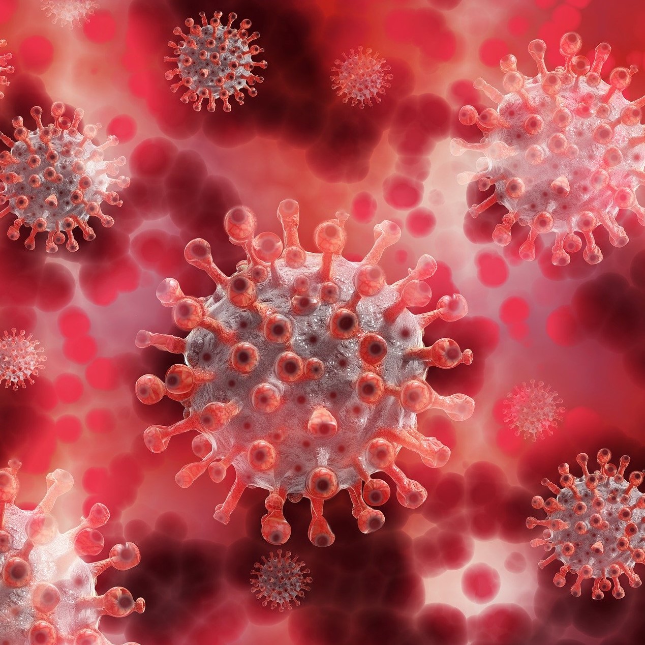 Read more about the article This virus has shown us what we’re made of