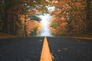 road with a yellow line down the middle and autumnal trees in the distance