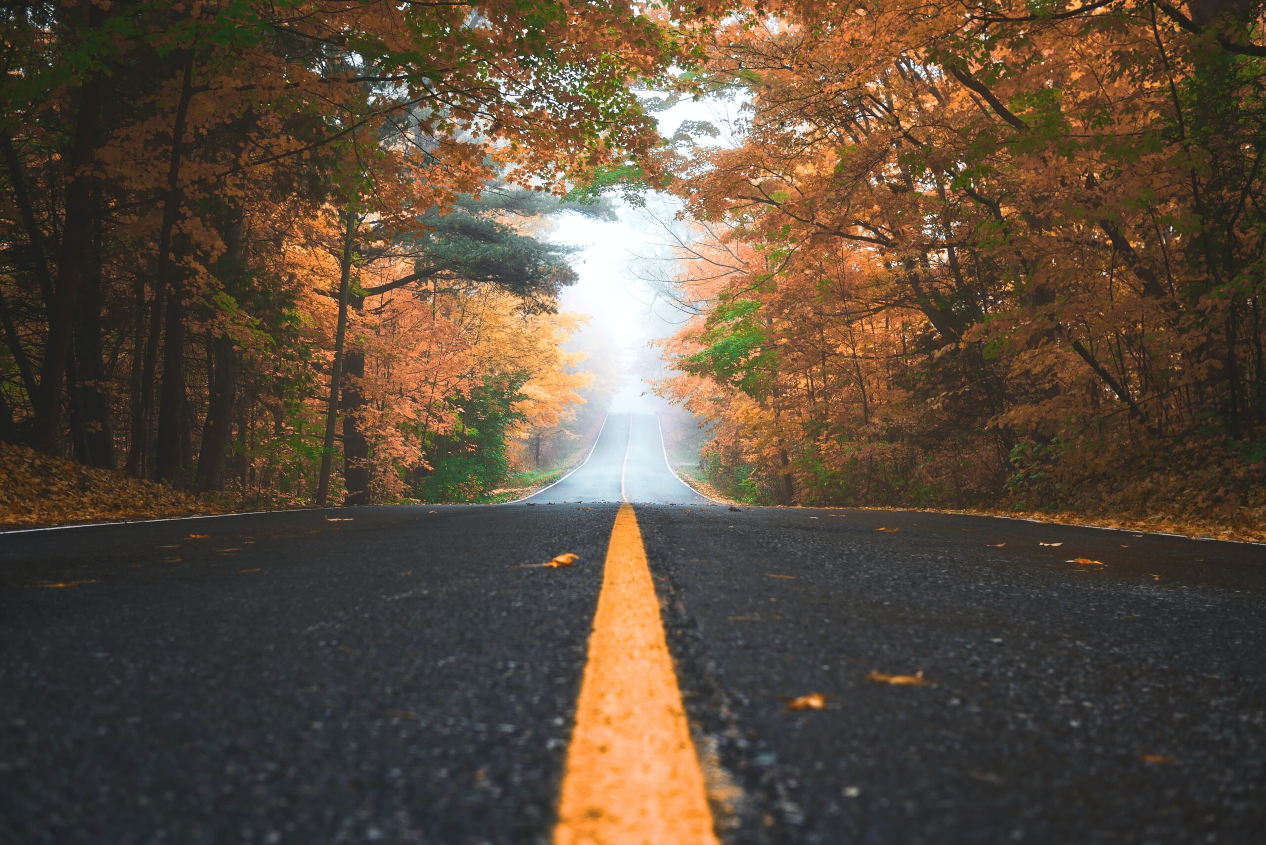 Read more about the article Healthy snacks for road trips