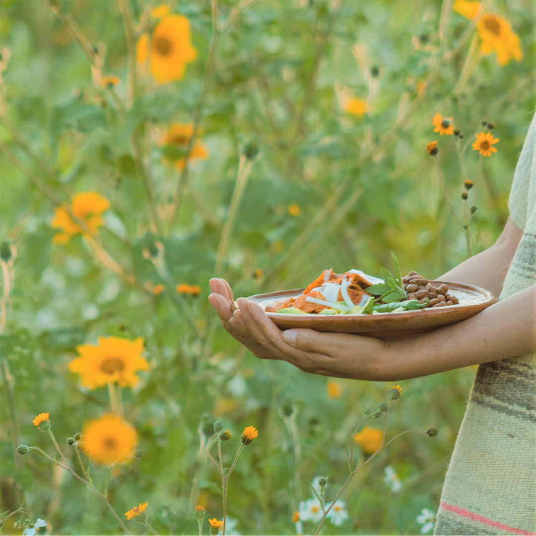 Read more about the article Why do humans think we’re superior to nature?